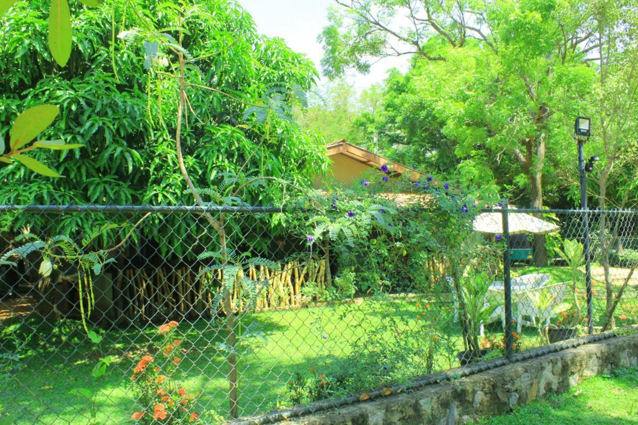Thal Sewana Home Stay Sigirija Zewnętrze zdjęcie