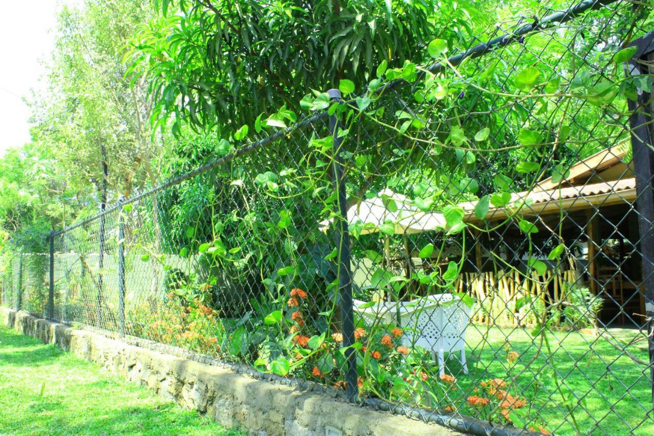 Thal Sewana Home Stay Sigirija Zewnętrze zdjęcie
