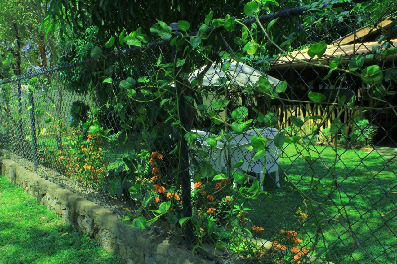 Thal Sewana Home Stay Sigirija Zewnętrze zdjęcie